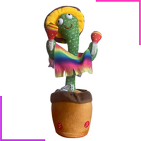 Pack Cactus & Co