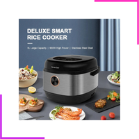 Cuiseur à Riz 5L Premium