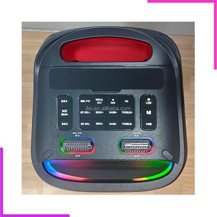 Enceinte Bluetooth karaoké double haut-parleur avec éclairage LED RGB et 2 microphones sans fil