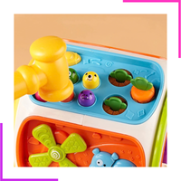 Polyèdre Bébé Montessori