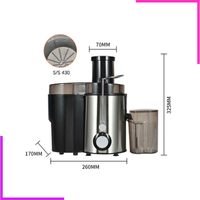 Extracteur de jus électrique portable en acier inoxydable