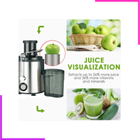 Extracteur de jus électrique portable en acier inoxydable