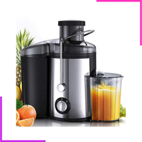 Extracteur de jus électrique portable en acier inoxydable