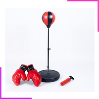 Punchig Ball + Gants