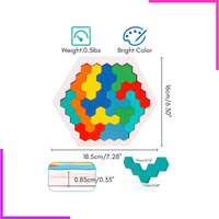 Puzzle Hexagonal Multicolore